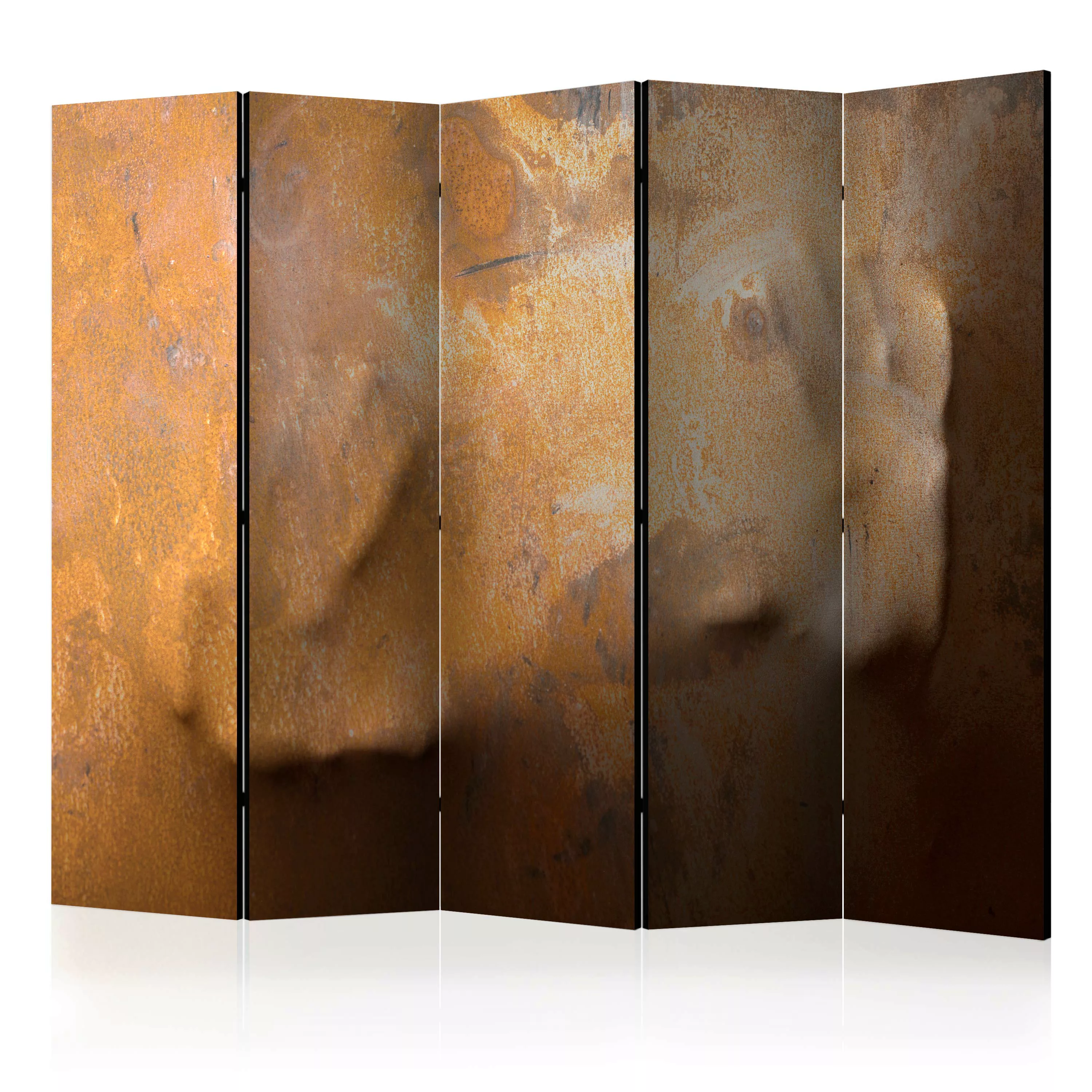 5-teiliges Paravent - Touch Ii [room Dividers] günstig online kaufen