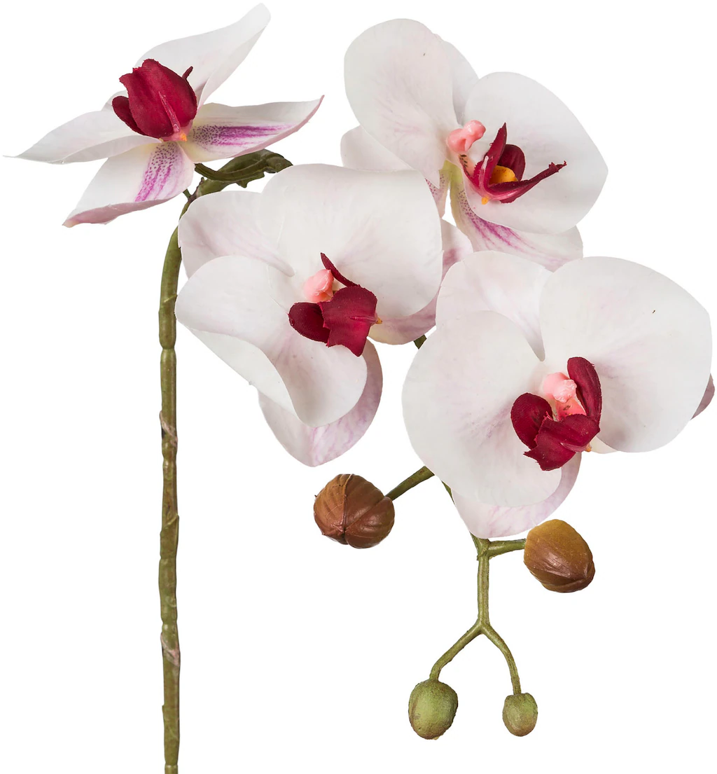 Creativ green Kunstblume "Phalaenopsis 3D-print", mit Real-Touch-Blüten günstig online kaufen