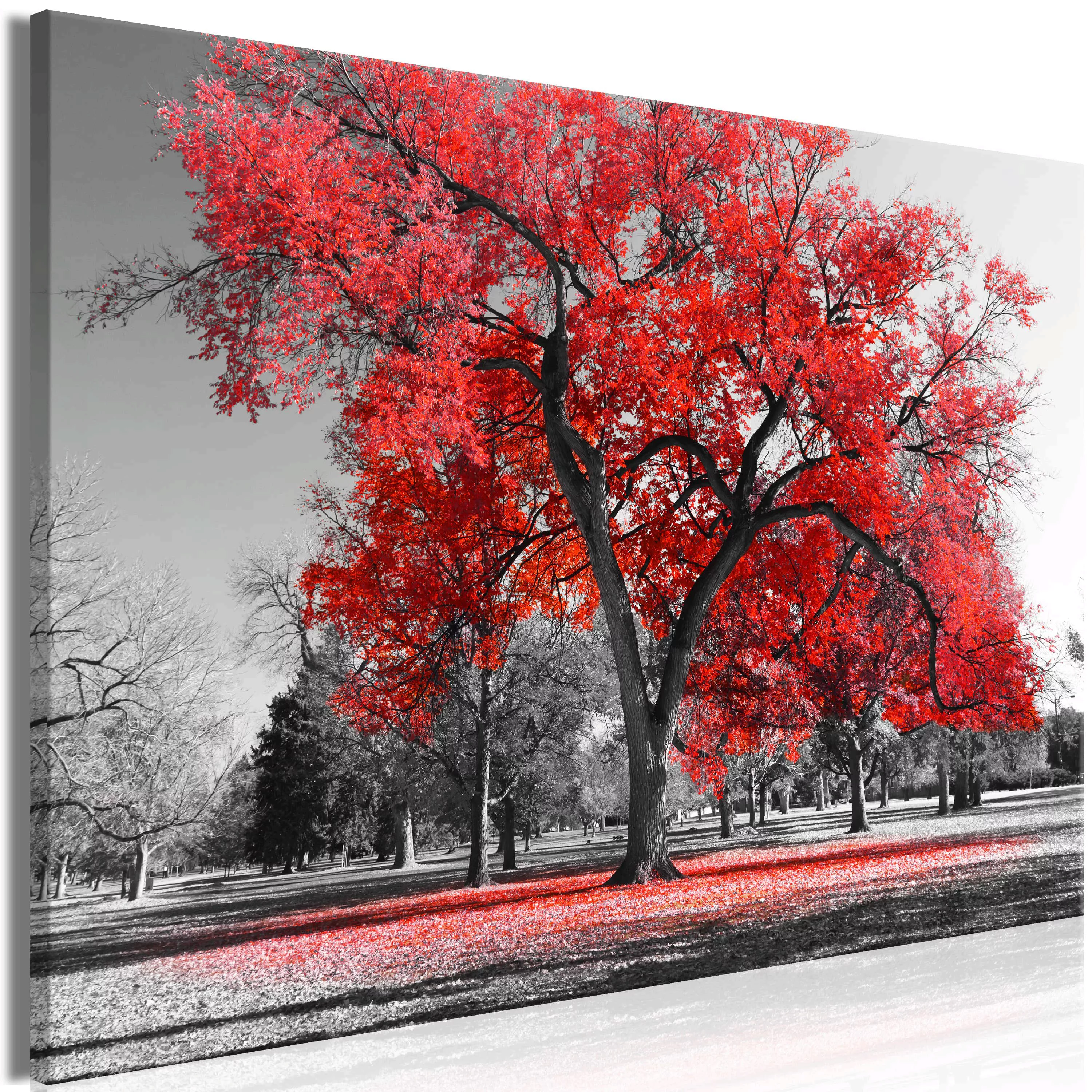 Wandbild - Autumn in the Park (1 Part) Wide Red günstig online kaufen