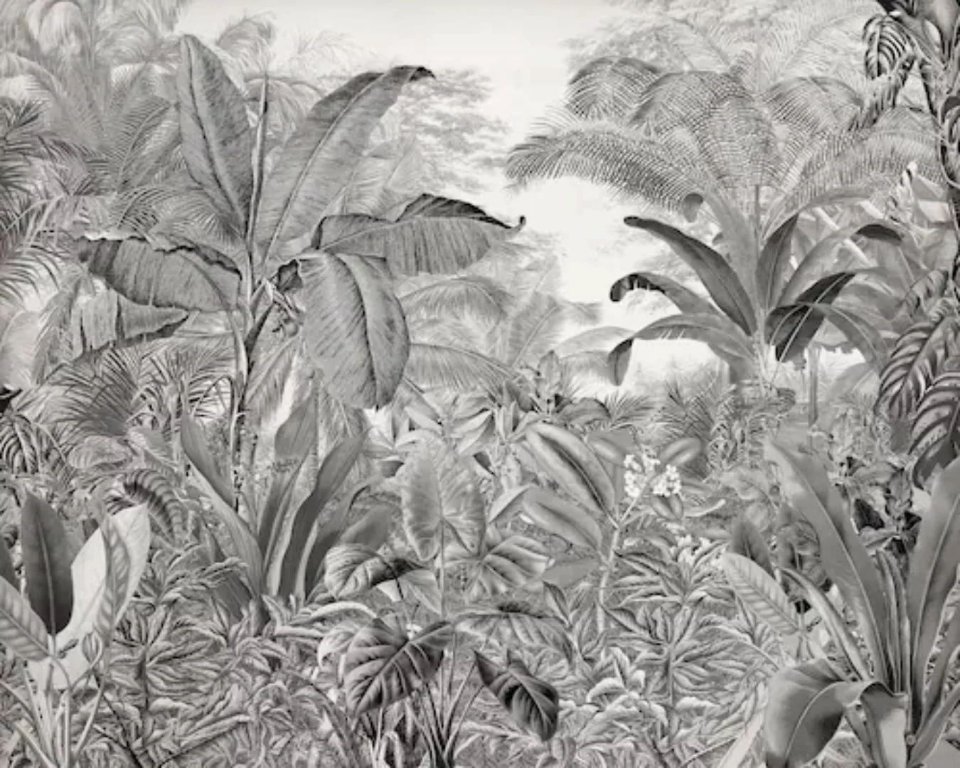 Komar Vliestapete »Roraima«, 350x280 cm (Breite x Höhe) günstig online kaufen