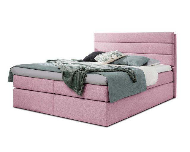 Furnix Boxspringbett REVLIE 120/140/160/180x200 Polsterbett mit Kopfteil To günstig online kaufen