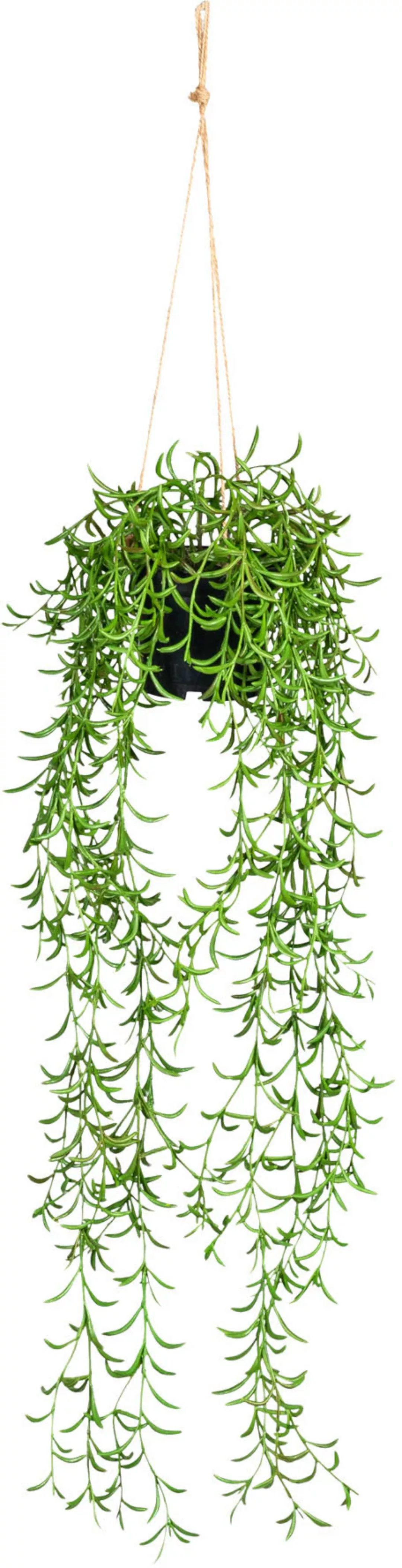 Creativ green Kunstranke "Nerifolia-Hänger", im Hängetopf aus Kunststoff günstig online kaufen