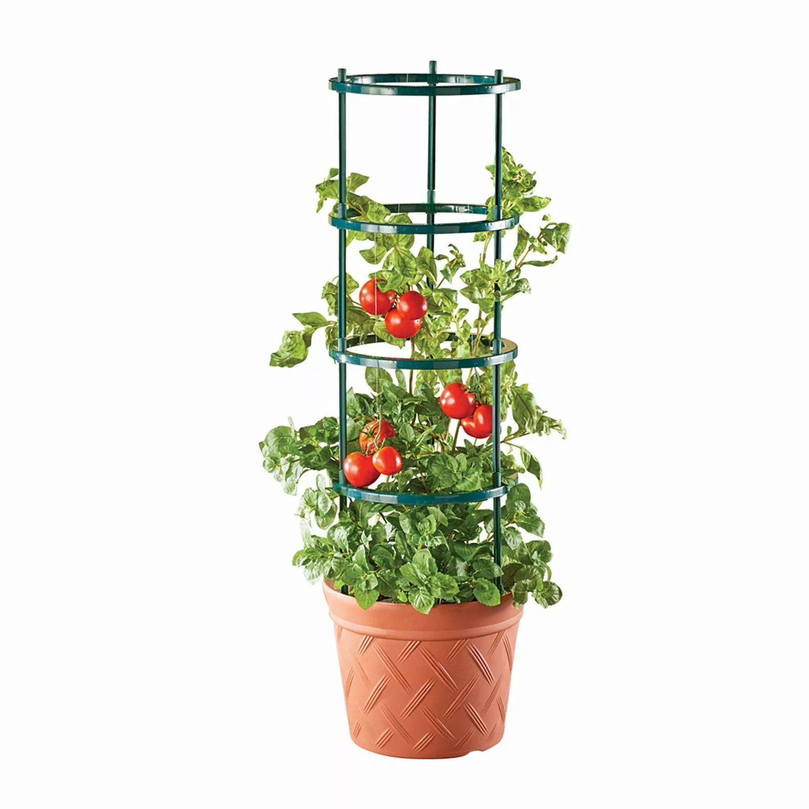 HTI-Living Pflanzkübel Pflanztopf Nessa Terracotta mit günstig online kaufen