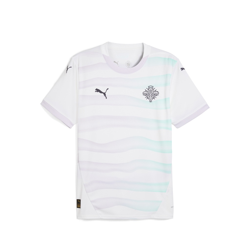 PUMA Trainingsshirt "Island Team 2025 Auswärtstrikot Herren" günstig online kaufen