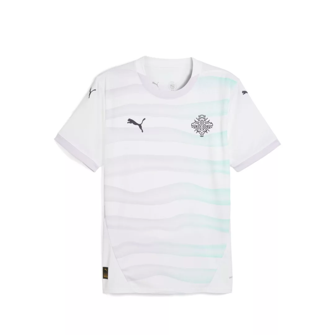 PUMA Trainingsshirt "Island Team 2025 Auswärtstrikot Herren" günstig online kaufen