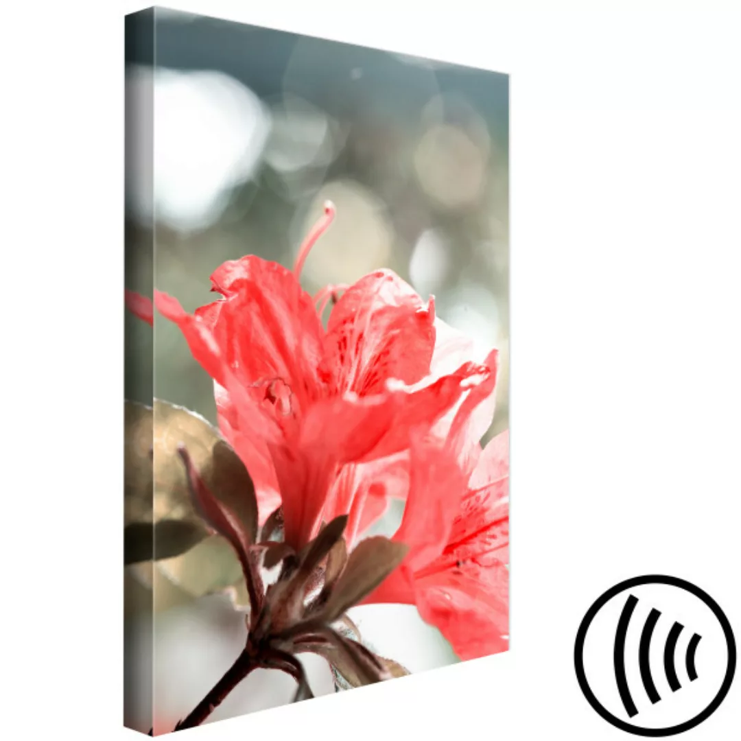 Bild auf Leinwand Das Rot des Hibiscus - minimalistisches Foto von Zweigen günstig online kaufen