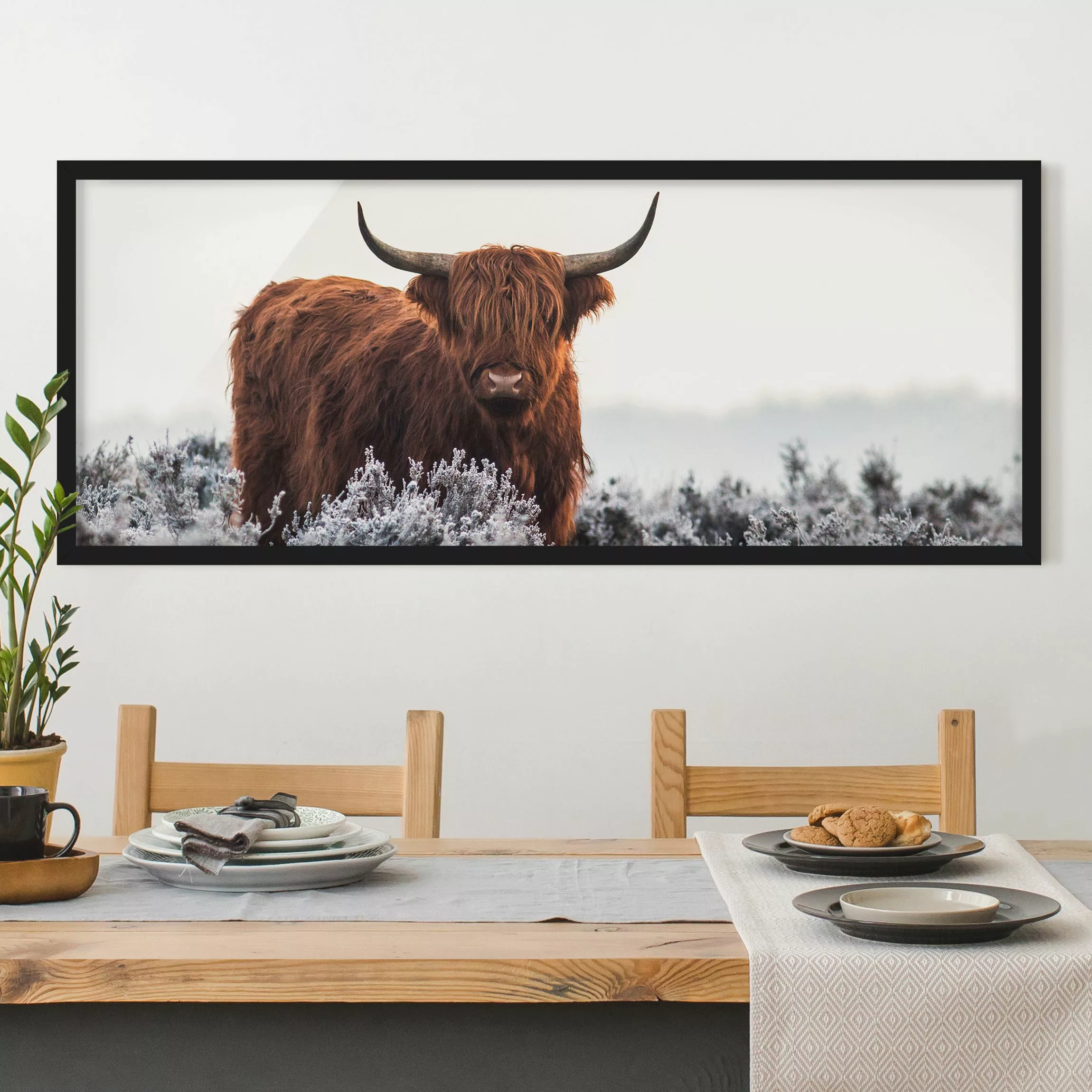 Bild mit Rahmen Tiere - Panorama Bison in den Highlands günstig online kaufen