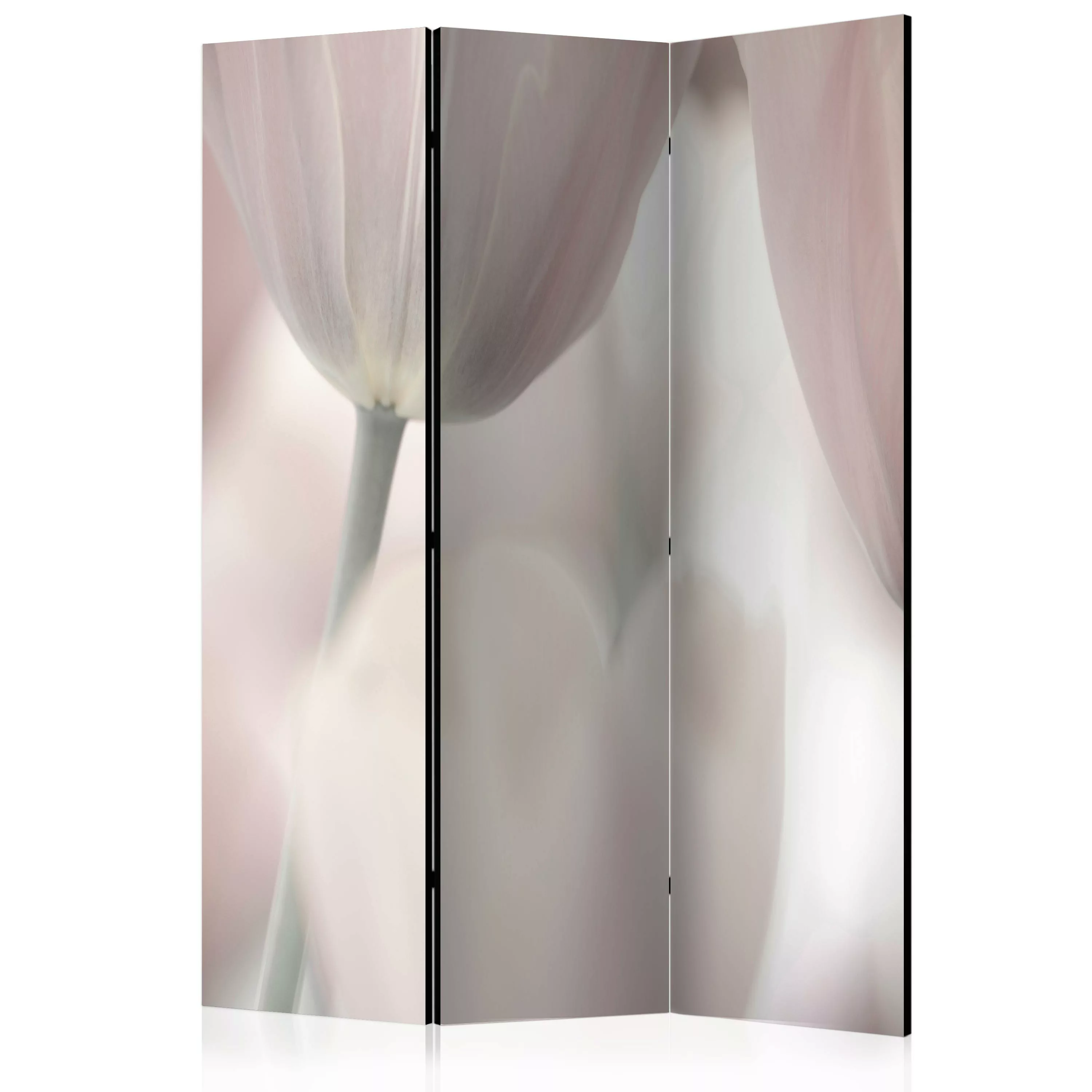 3-teiliges Paravent - Tulips Fine Art - Black And White [room Dividers] günstig online kaufen