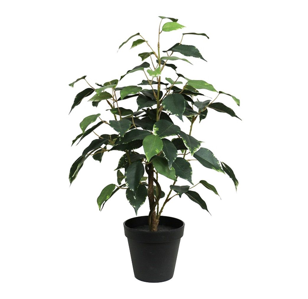 Kunstpflanze Ficus Benjamini im Topf LA günstig online kaufen