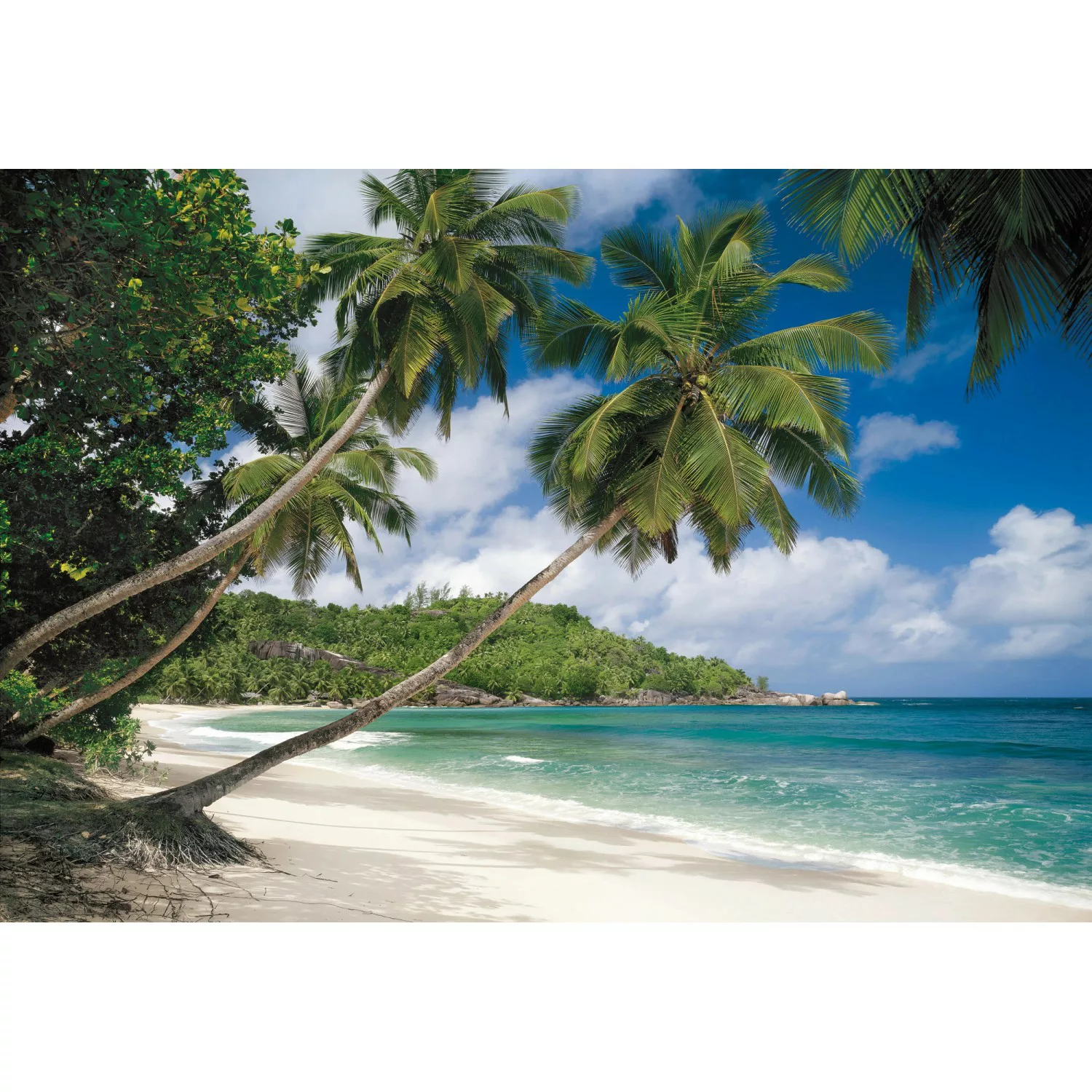 Komar Fototapete Tropical Sea  368 x 254 cm günstig online kaufen