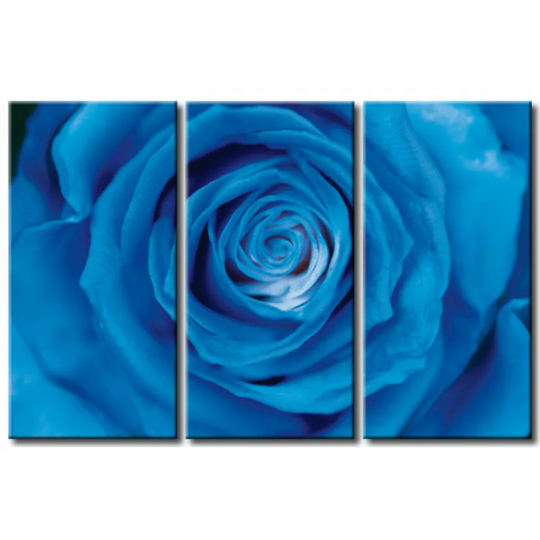 Bild auf Leinwand Blaue Rose XXL günstig online kaufen