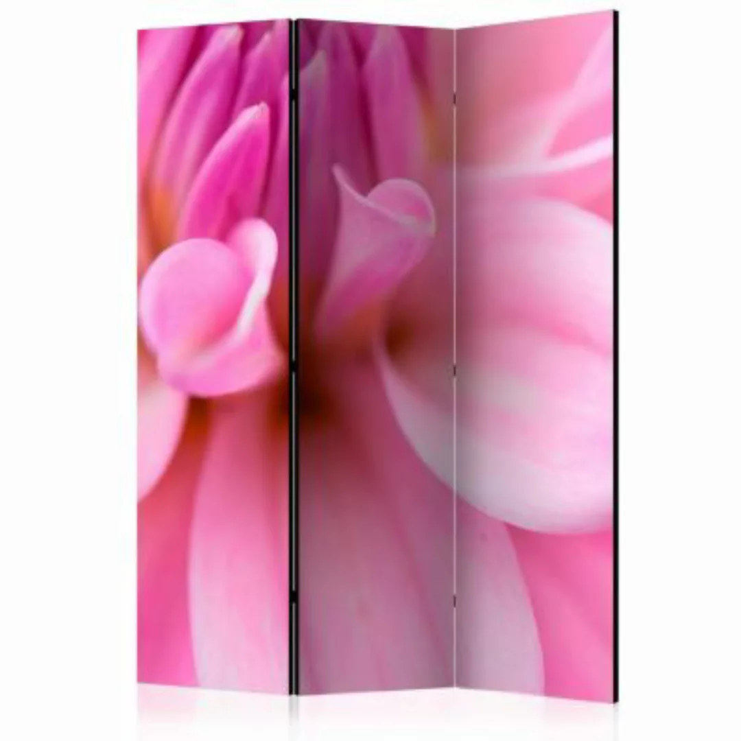 artgeist Paravent Flower petals - dahlia [Room Dividers] rosa Gr. 135 x 172 günstig online kaufen