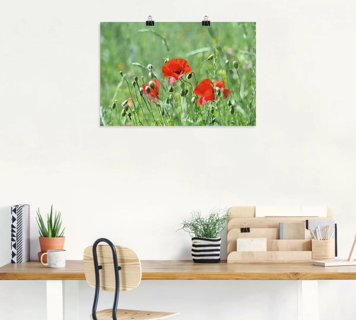 Artland Wandbild "Mohnblumen im Gras", Blumenbilder, (1 St.), als Leinwandb günstig online kaufen