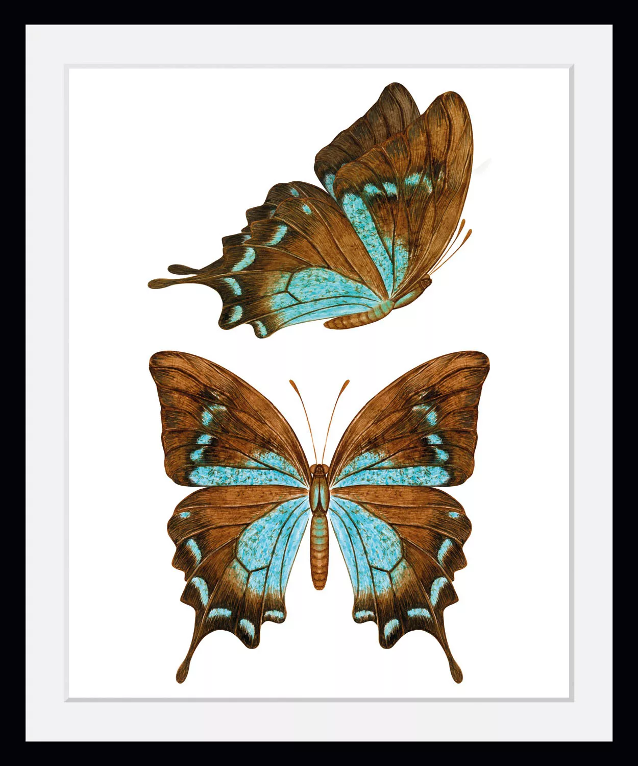 queence Bild "Nala", Schmetterlinge, (1 St.) günstig online kaufen