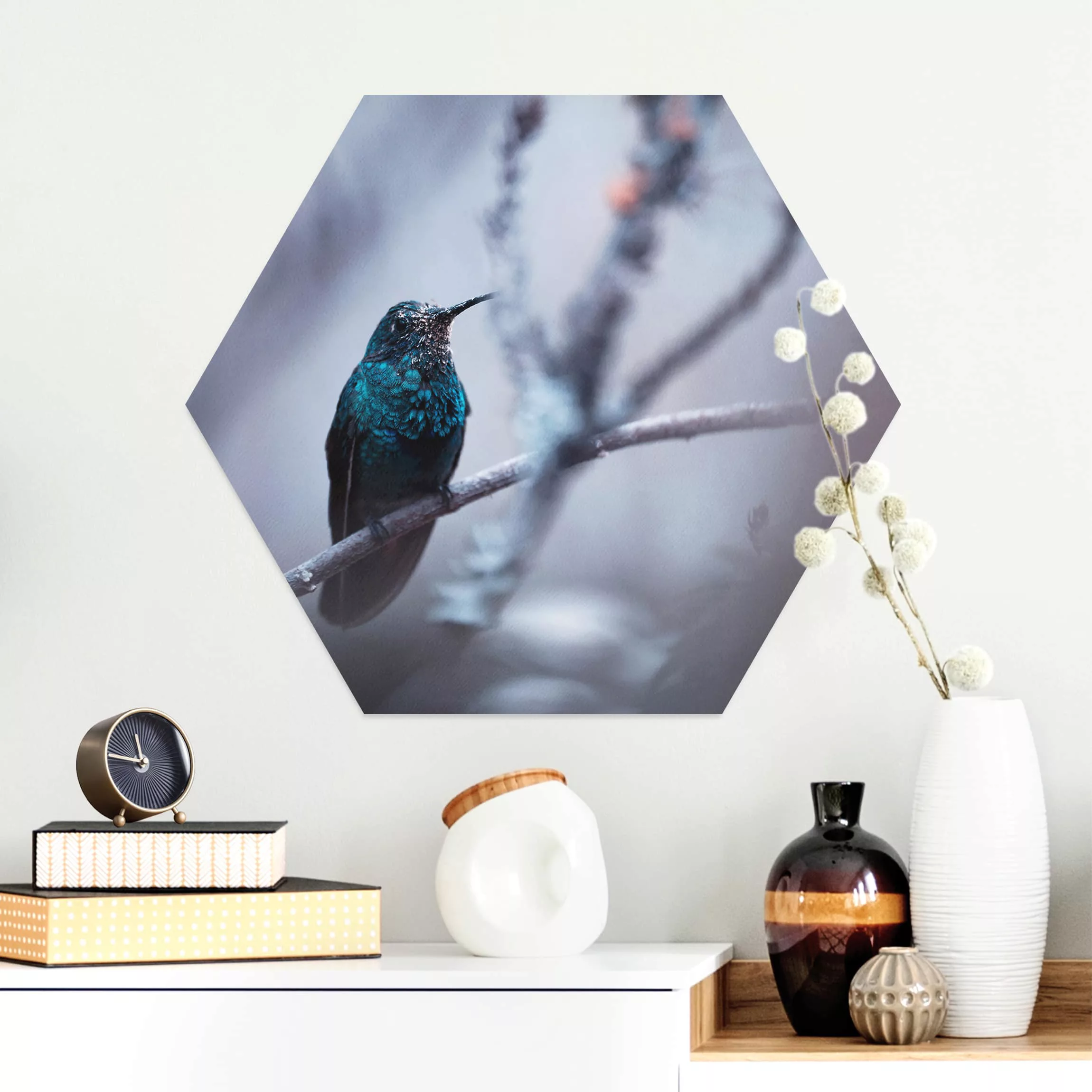 Hexagon-Alu-Dibond Bild Tiere Kolibri im Winter günstig online kaufen