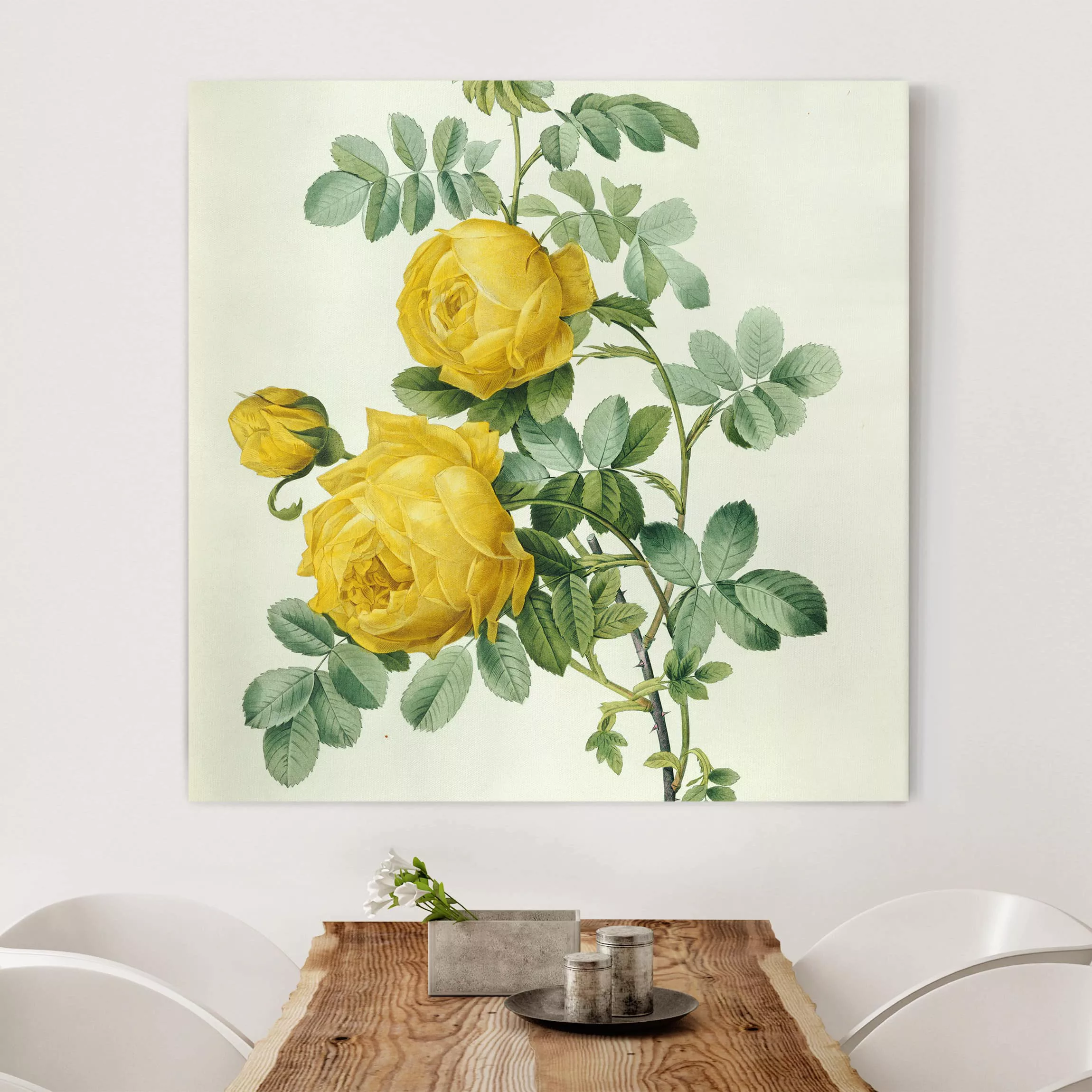 Leinwandbild Blumen - Quadrat Pierre Joseph Redouté - Rosa Sulfurea günstig online kaufen