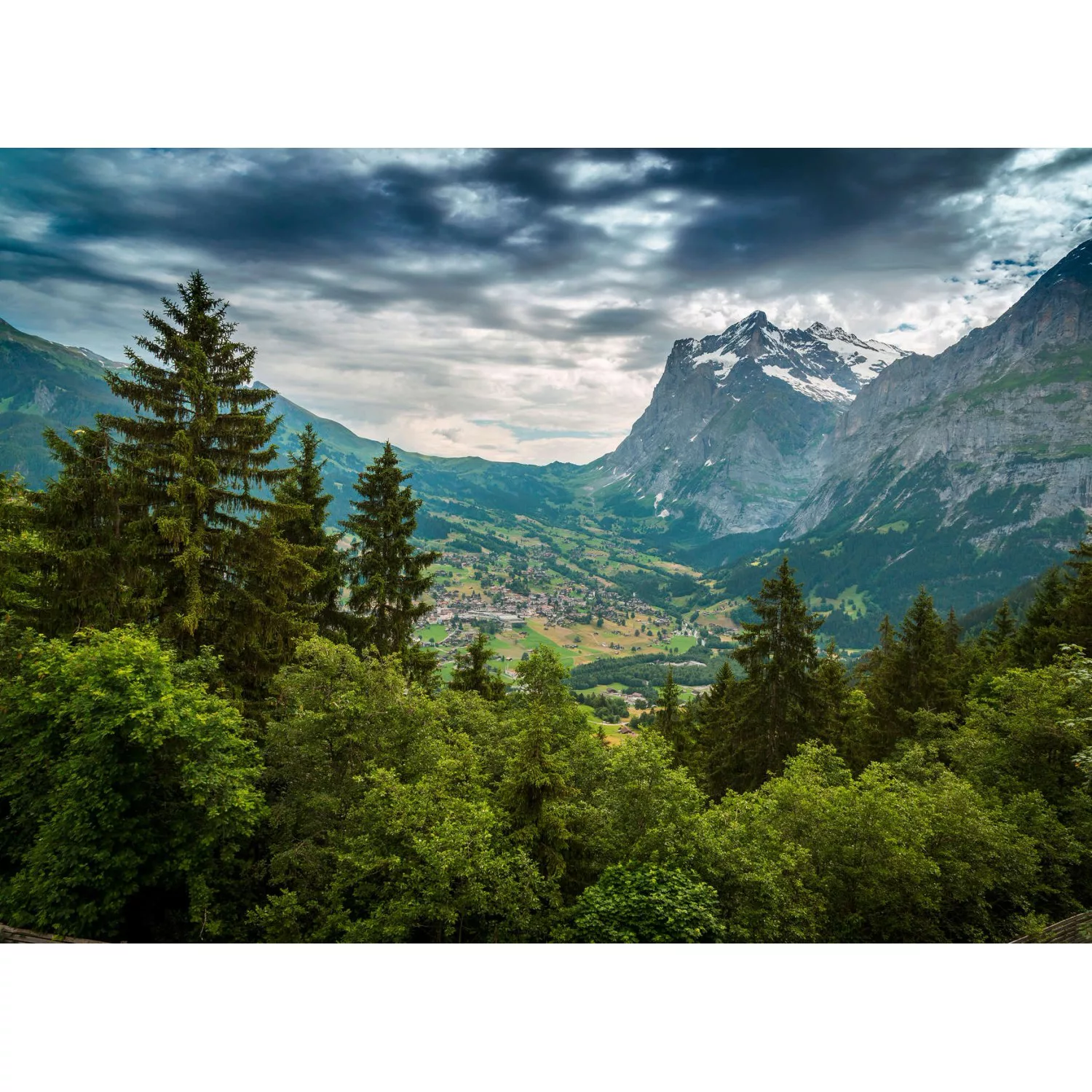 Fototapete Landschaft Fluss Wald Grün Blau 3,50 m x 2,55 m FSC® günstig online kaufen