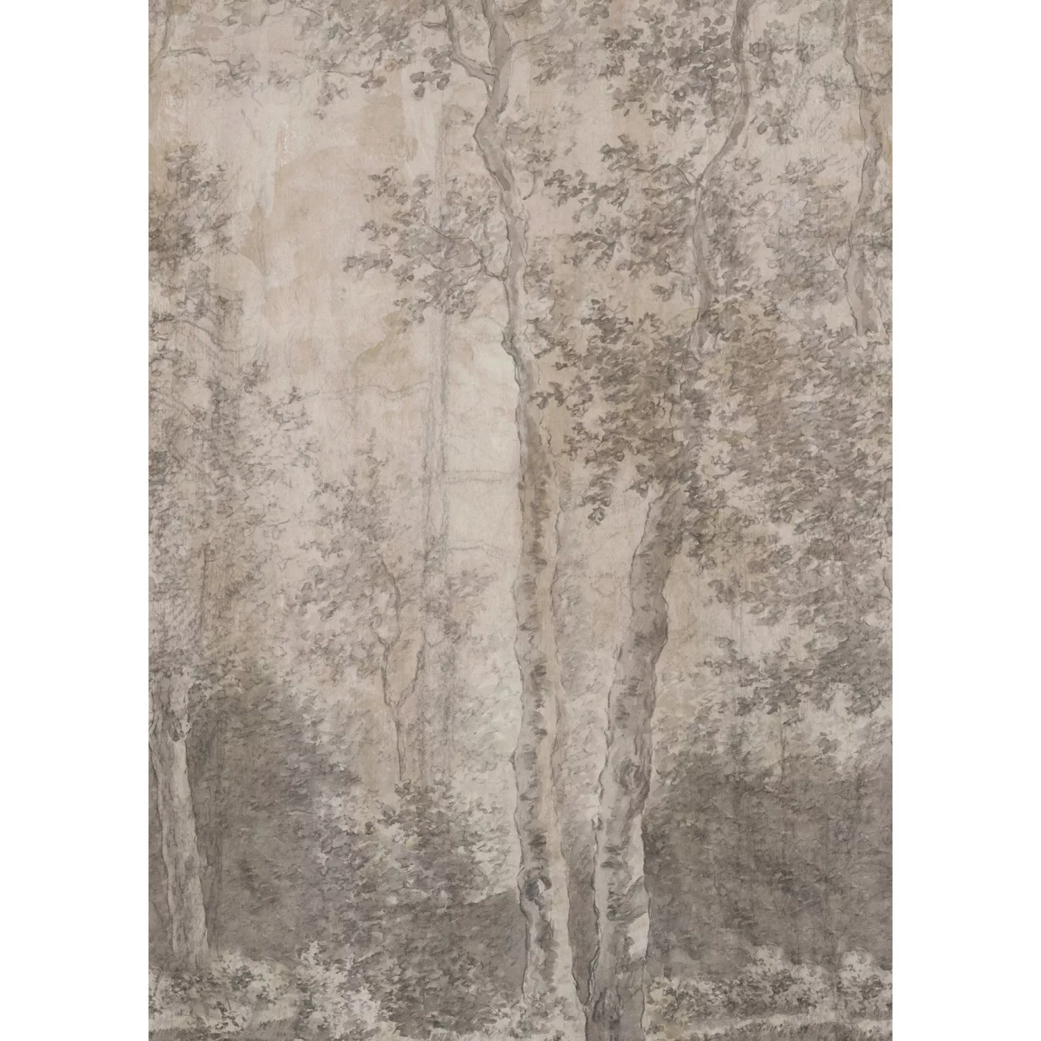 LOOKS by Wolfgang Joop Fototapete »Birch Trees«, naturalistisch, 200x270cm günstig online kaufen