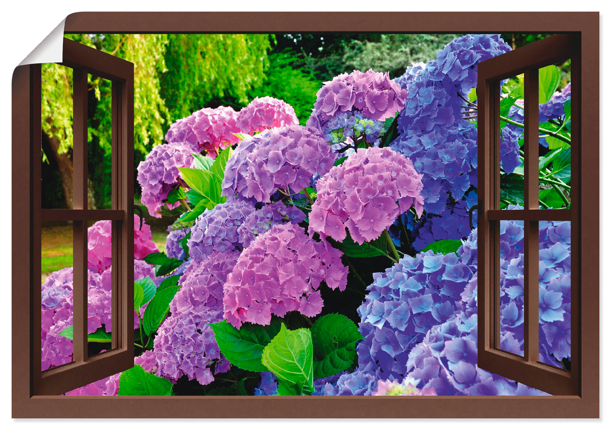 Artland Wandbild "Fensterblick Hortensien im Garten", Blumen, (1 St.), als günstig online kaufen