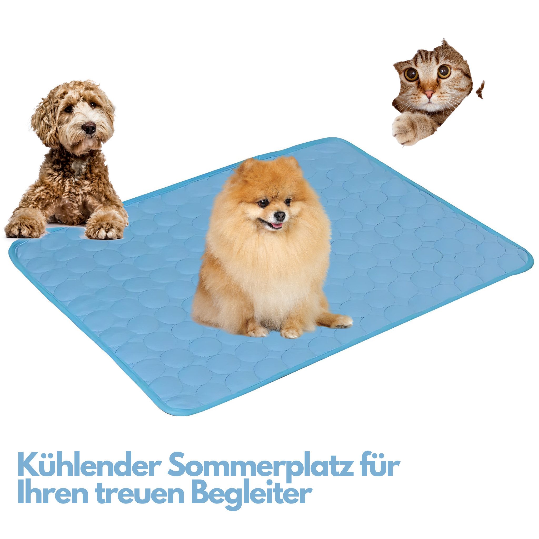 HS.SUPPLY Hundematte kühlende Matte für Ihr günstig online kaufen