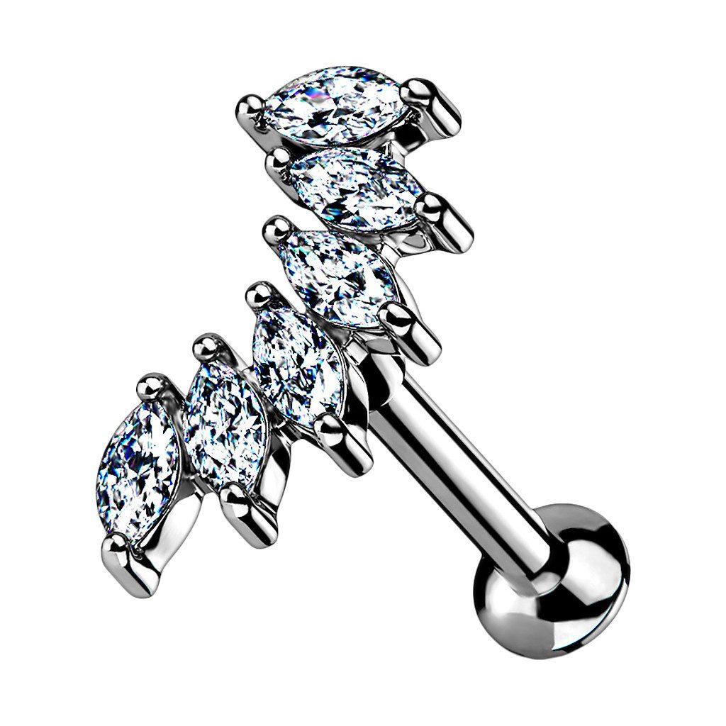 Taffstyle Piercing-Set Tragus Labret Piercing Stecker günstig online kaufen