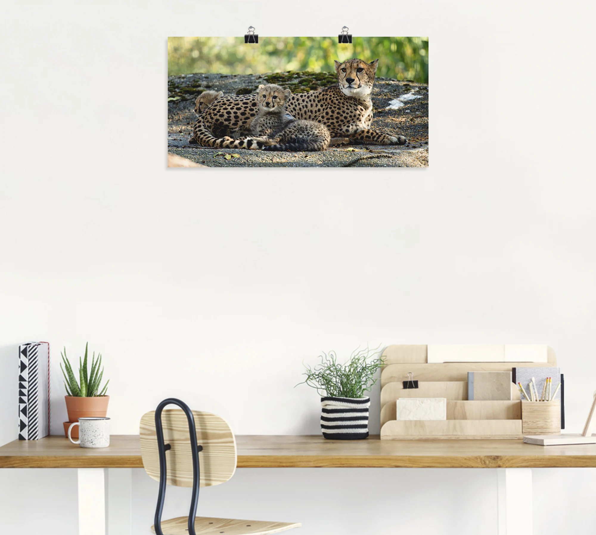Artland Wandbild "Gepard 2", Wildtiere, (1 St.), als Leinwandbild, Poster, günstig online kaufen
