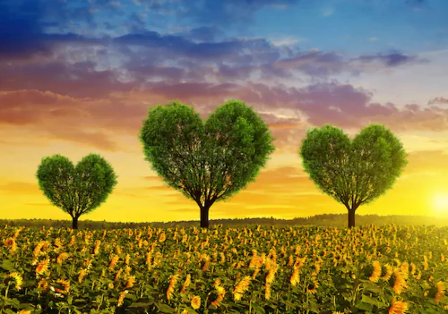Papermoon Fototapete »Blumenwiese mit Herzbäumen« günstig online kaufen