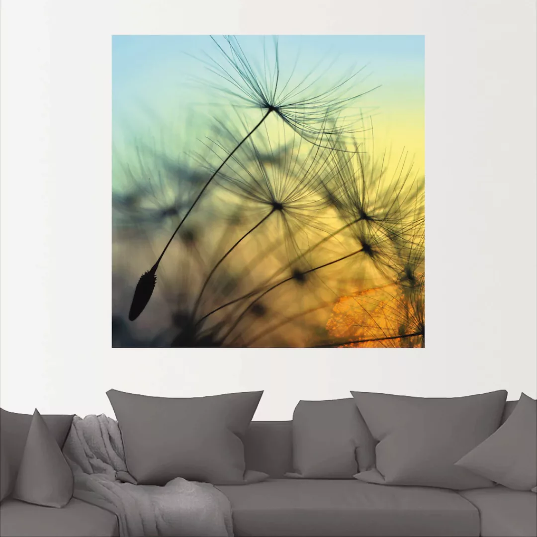 Artland Wandbild "Goldener Sonnenuntergang und Pusteblumen", Blumen, (1 St. günstig online kaufen