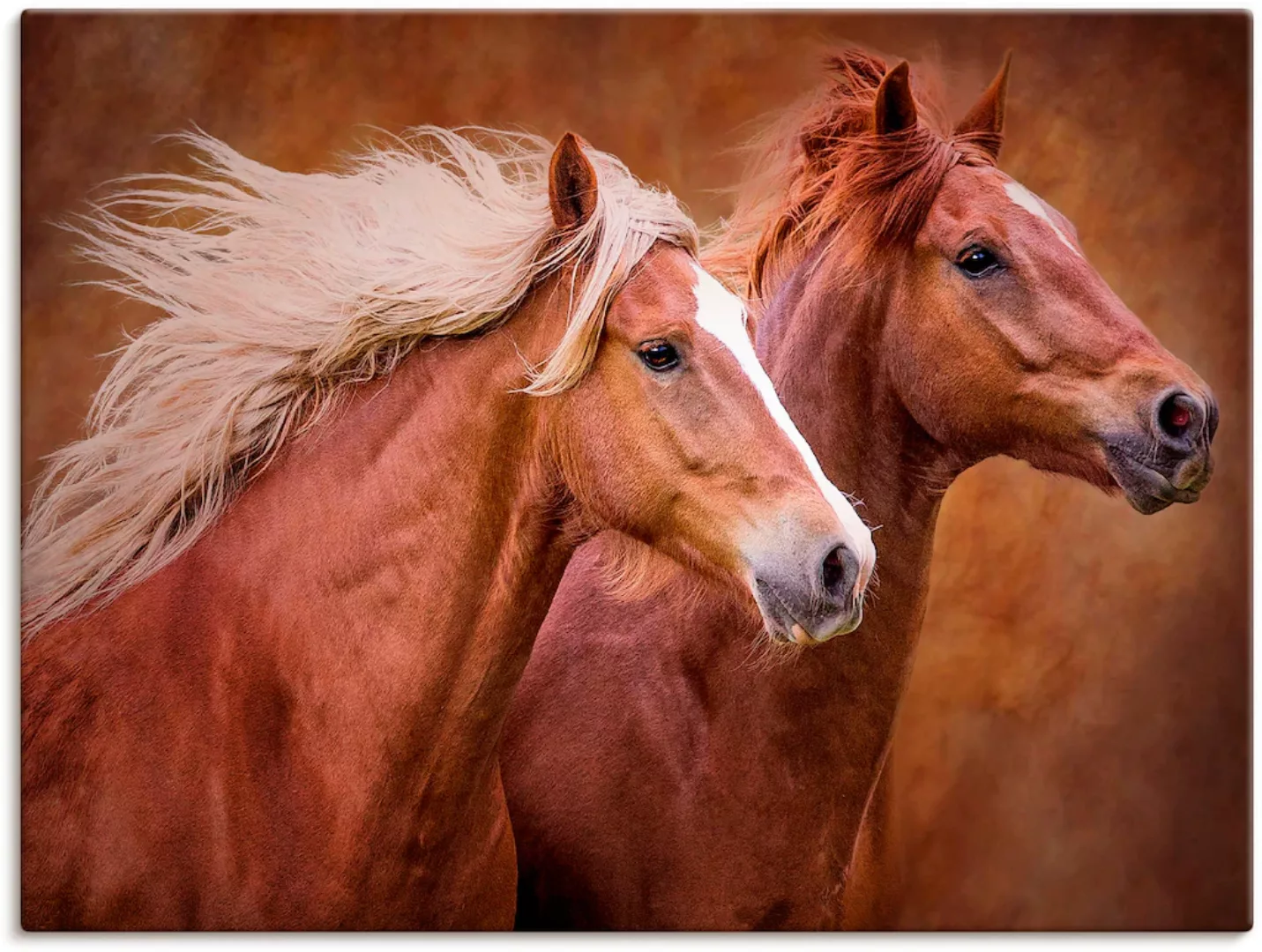 Artland Wandbild »Reinrassige Pferde I«, Haustiere, (1 St.) günstig online kaufen