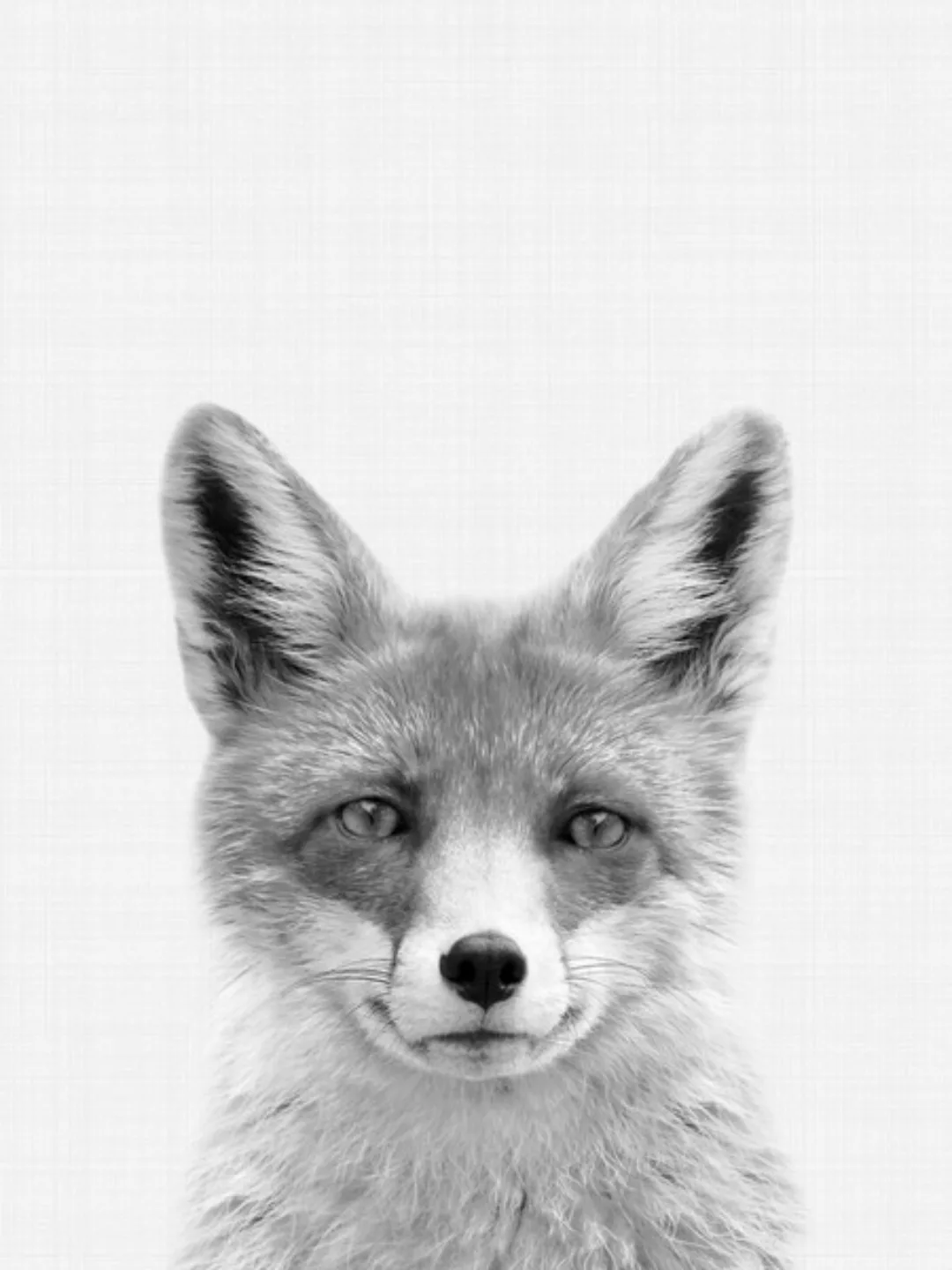 Poster / Leinwandbild - Fox (Black And White) günstig online kaufen
