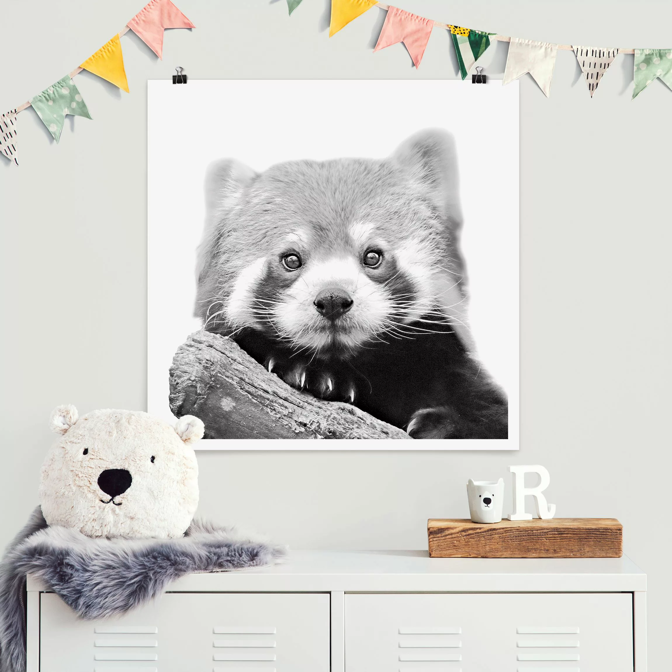 Poster Roter Panda in Schwarz-weiß günstig online kaufen