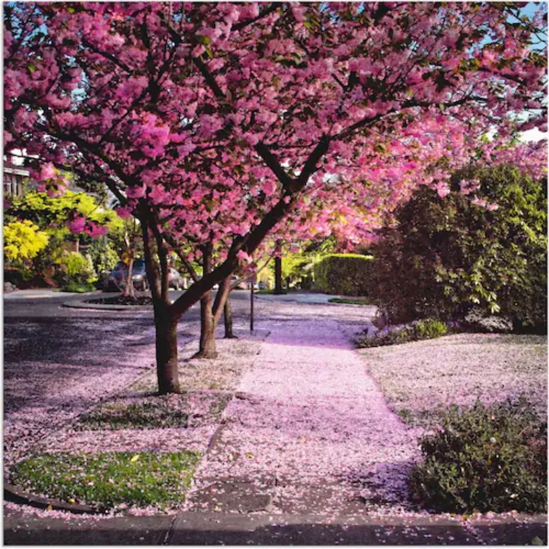 Artland Wandbild "Fallende Blütenblätter", Bäume, (1 St.) günstig online kaufen