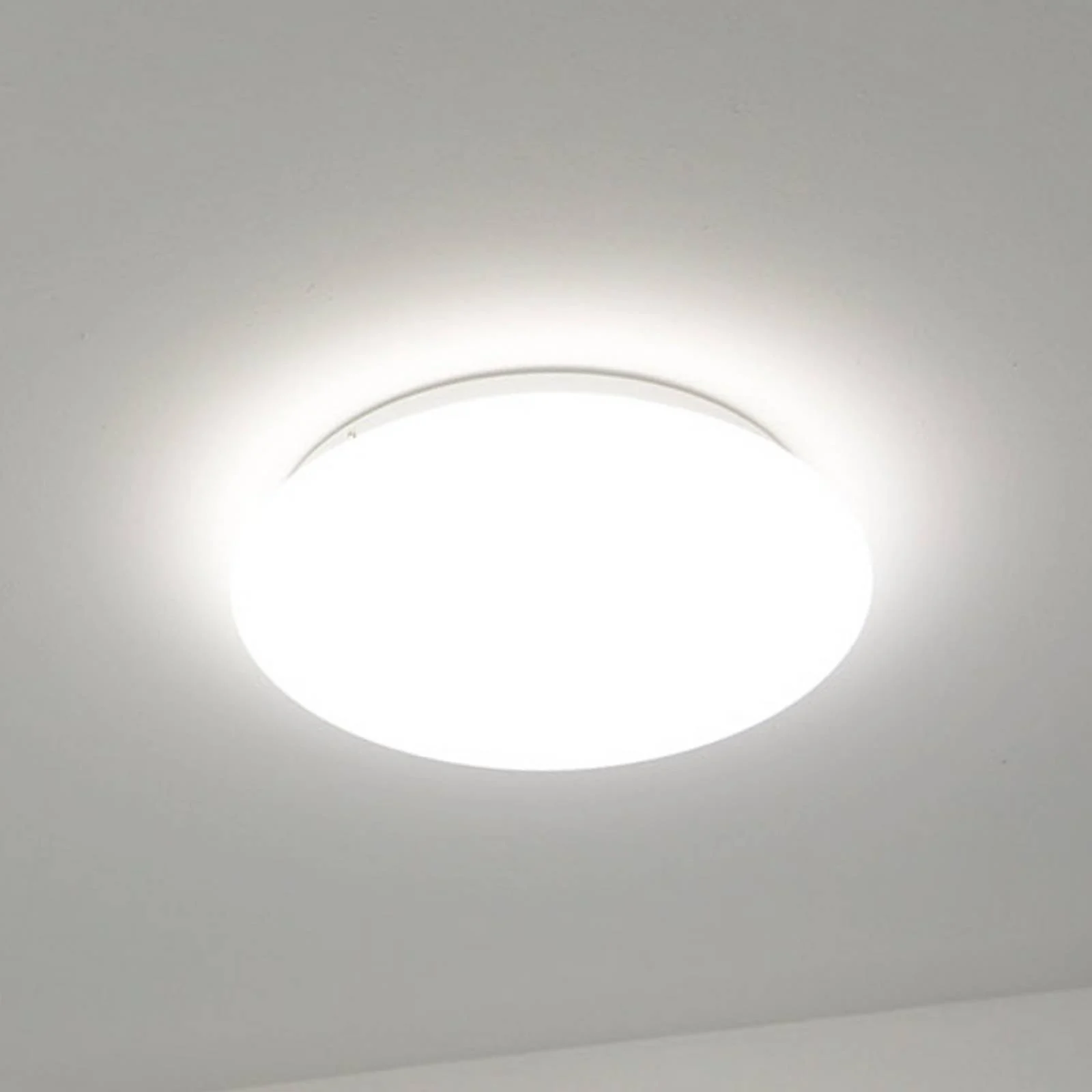 DOTLUX LED-Deckenleuchte LUNA, weiß, Ø 33 cm, PMMA, CCT IP44 günstig online kaufen