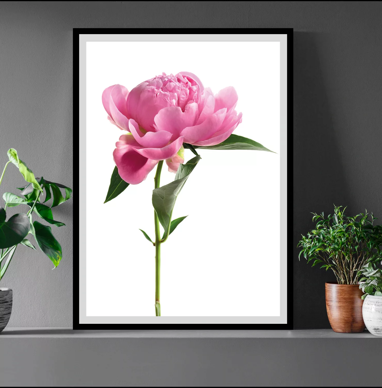 queence Bild »Scar«, Blumen, Rosen, gerahmt günstig online kaufen