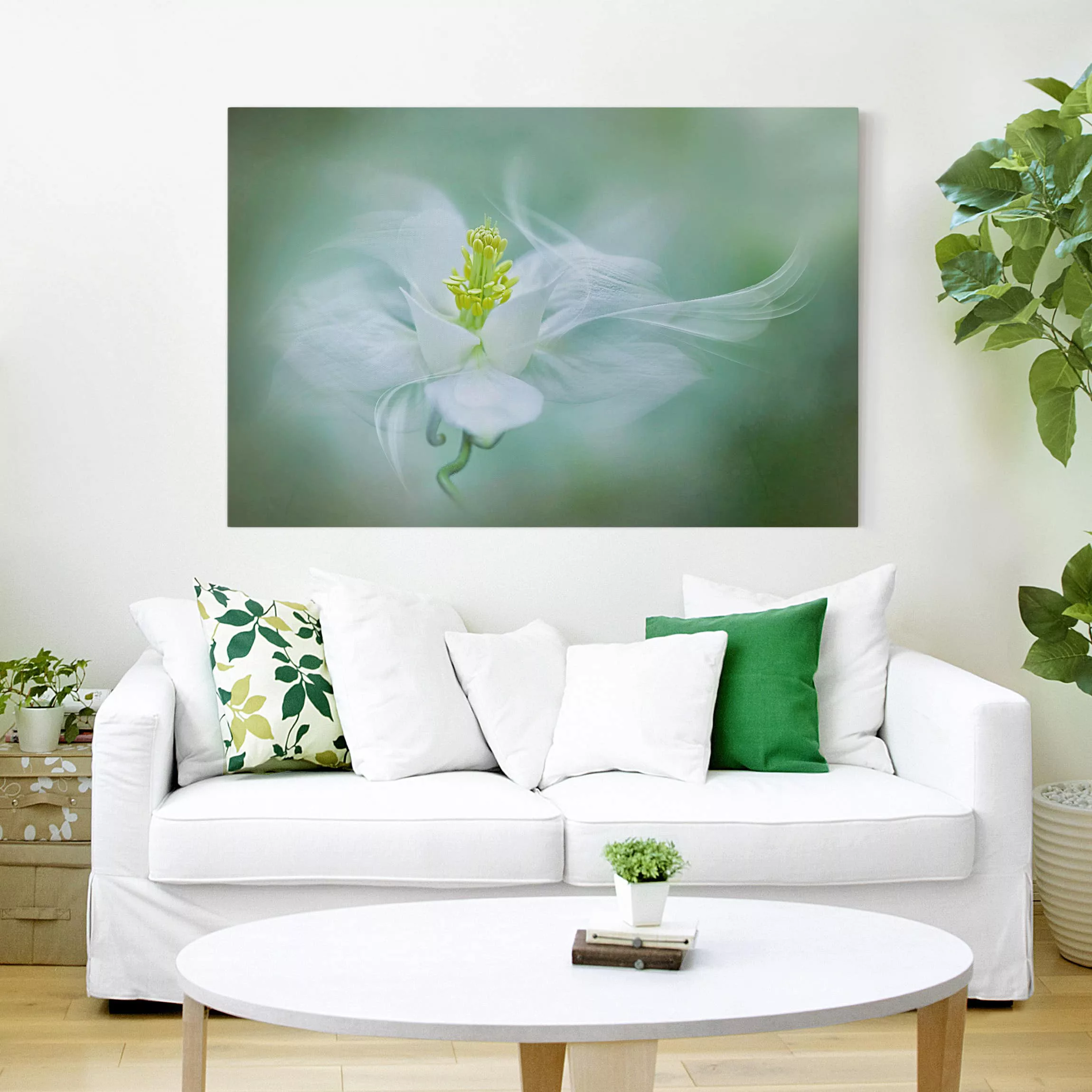 Leinwandbild Blumen - Querformat Weiße Akelei günstig online kaufen