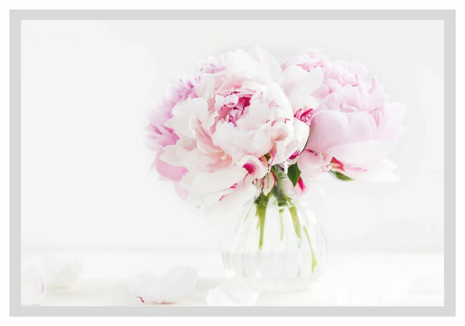 queence Bild "Carina", Blumen, gerahmt, Rosen günstig online kaufen