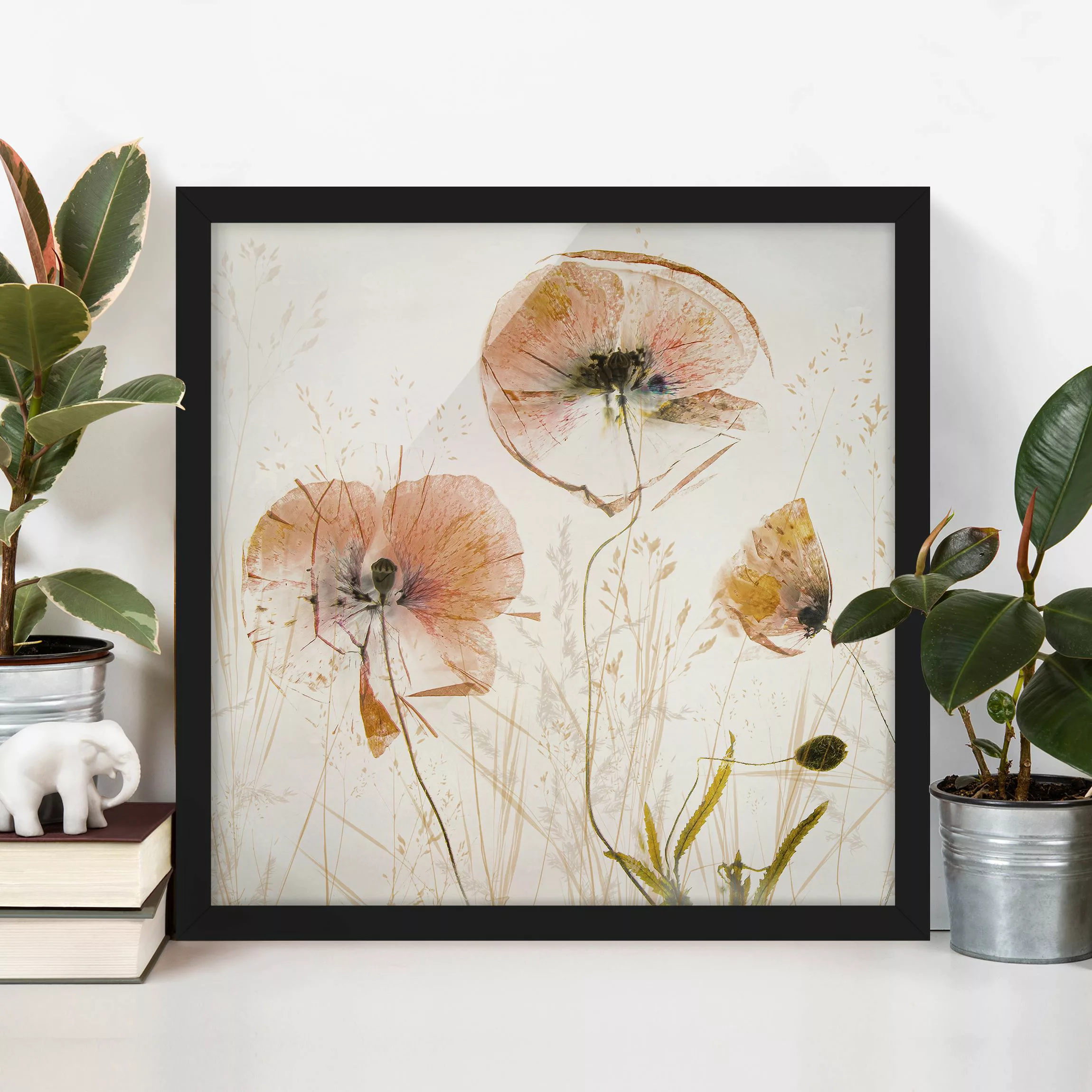 Bild mit Rahmen Getrocknete Mohnblüten mit zarten Gräsern günstig online kaufen