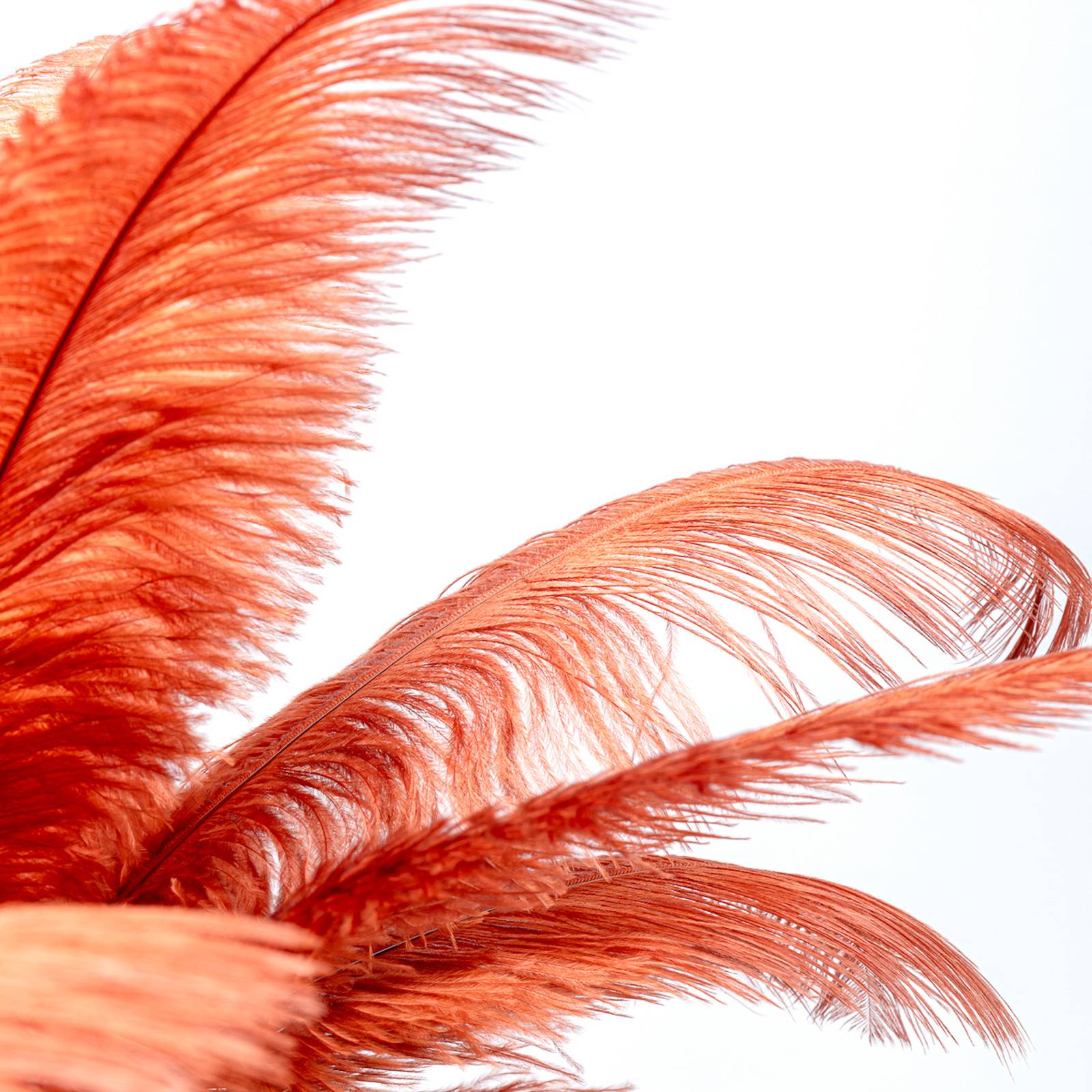 KARE Feather Palm Tischleuchte mit Federn, rostrot günstig online kaufen