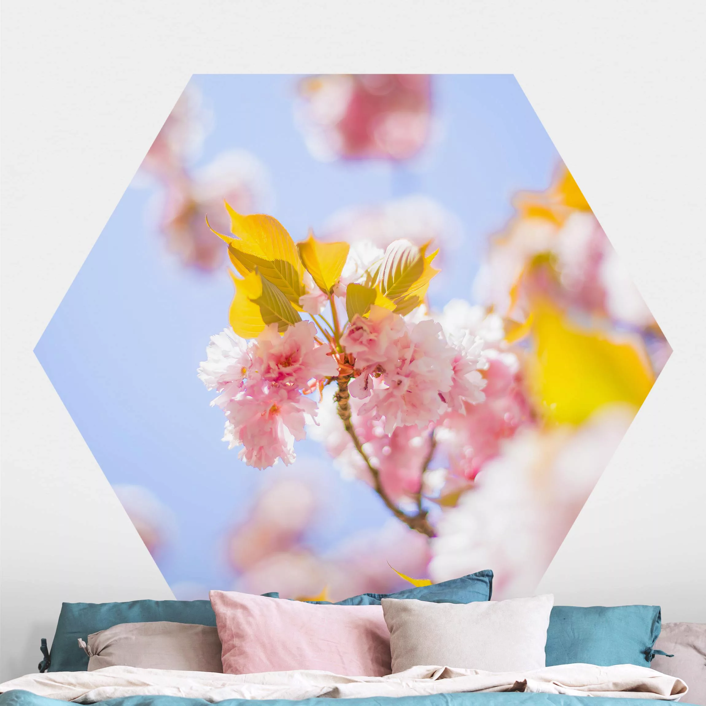 Hexagon Fototapete selbstklebend Farbenfrohe Kirschblüten günstig online kaufen