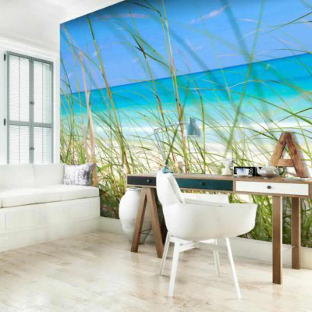 artgeist Fototapete Tropical journey mehrfarbig Gr. 350 x 270 günstig online kaufen