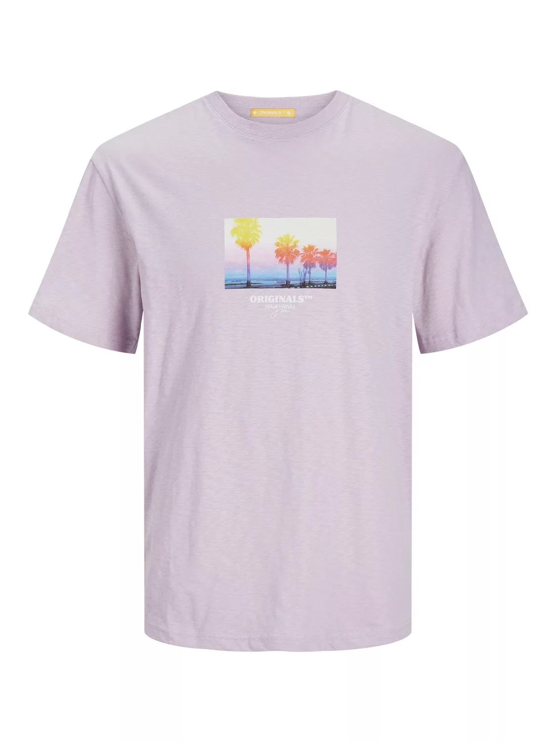 Jack & Jones T-Shirt "JORARUBA SMALL PHOTO TEE SS CREW NECK" günstig online kaufen