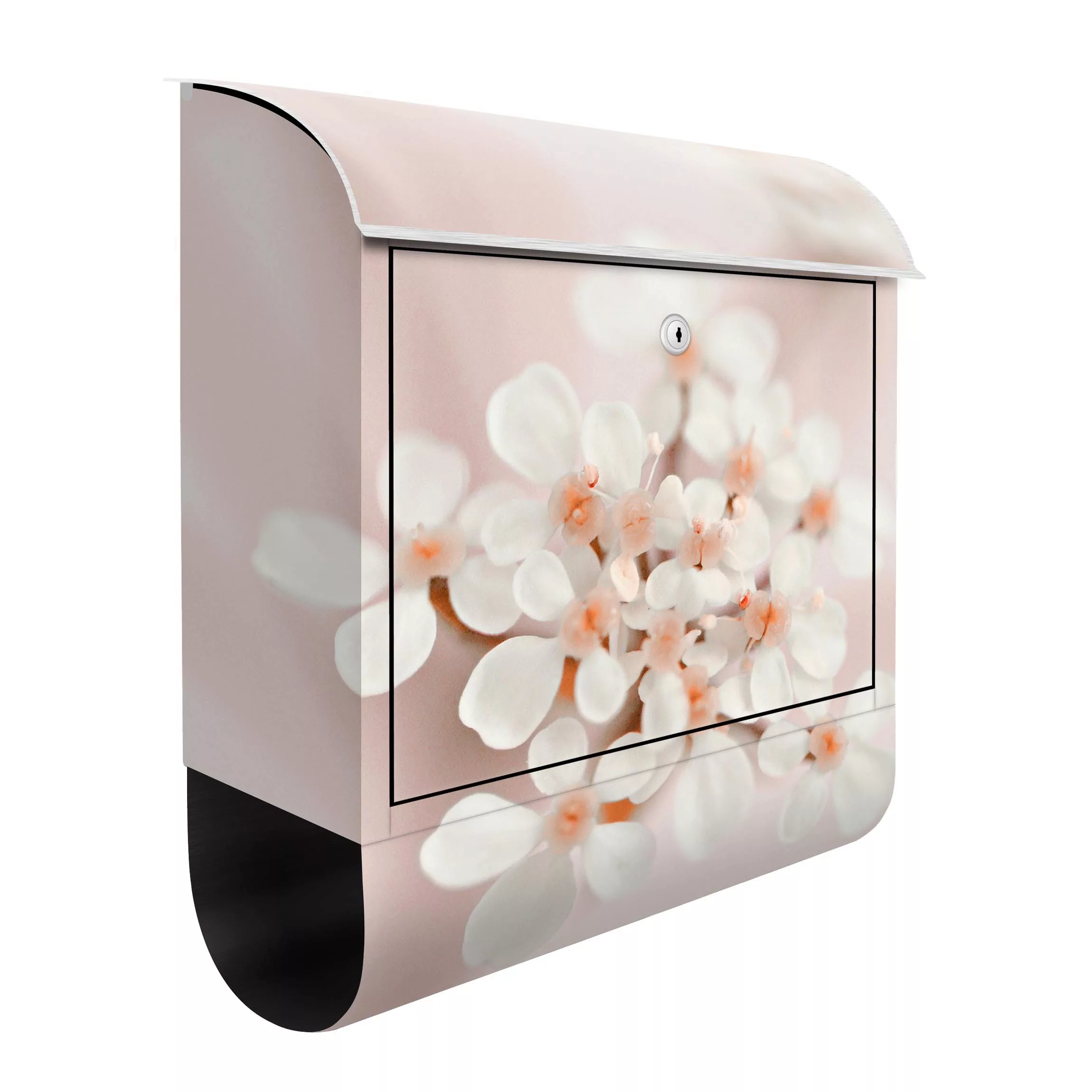 Briefkasten Miniblüten im Rosanen Licht günstig online kaufen