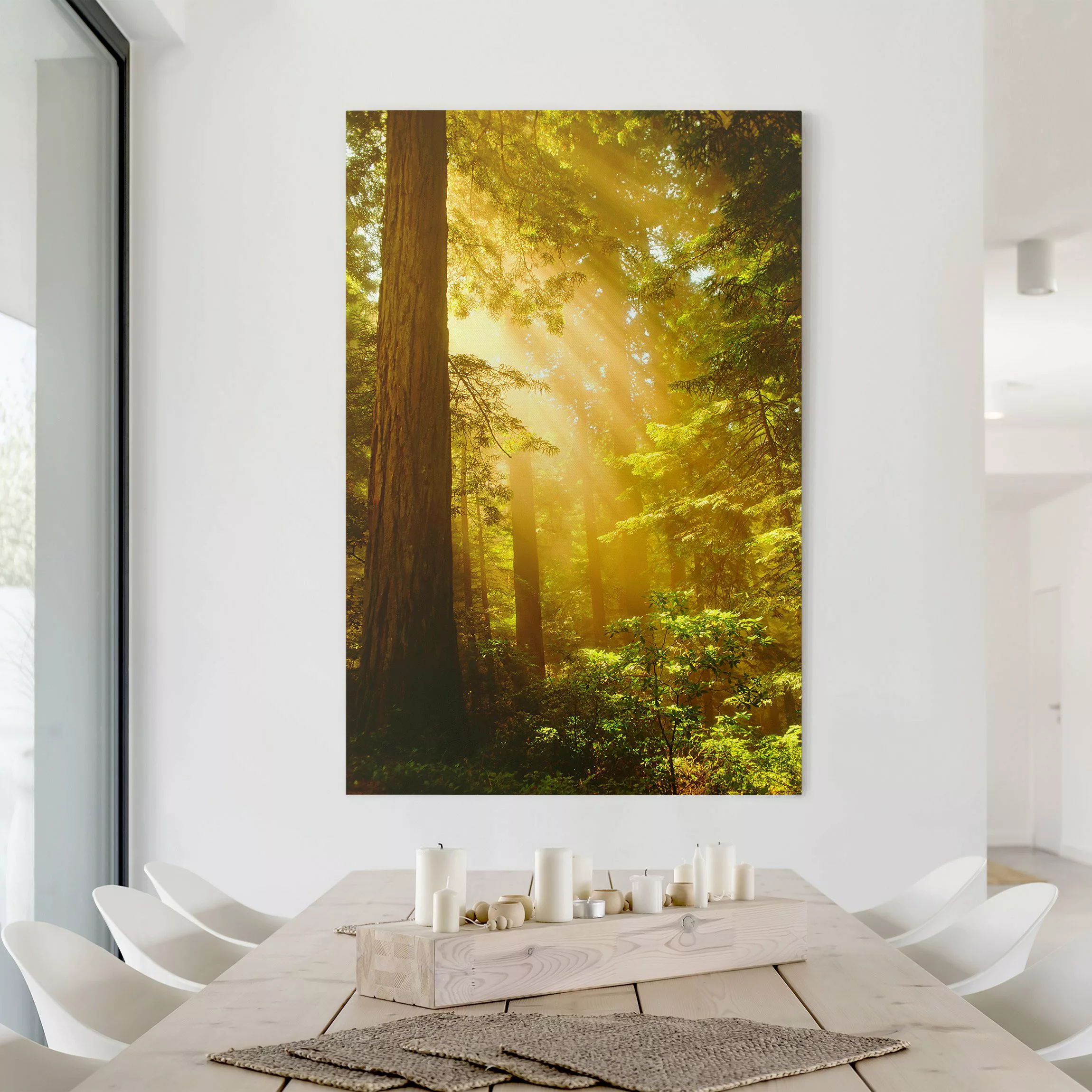 Leinwandbild Wald - Hochformat Morgengold günstig online kaufen