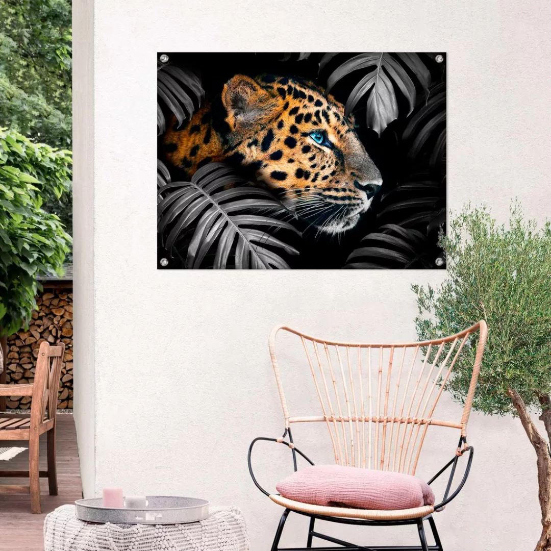 Reinders Poster "Leopard" günstig online kaufen