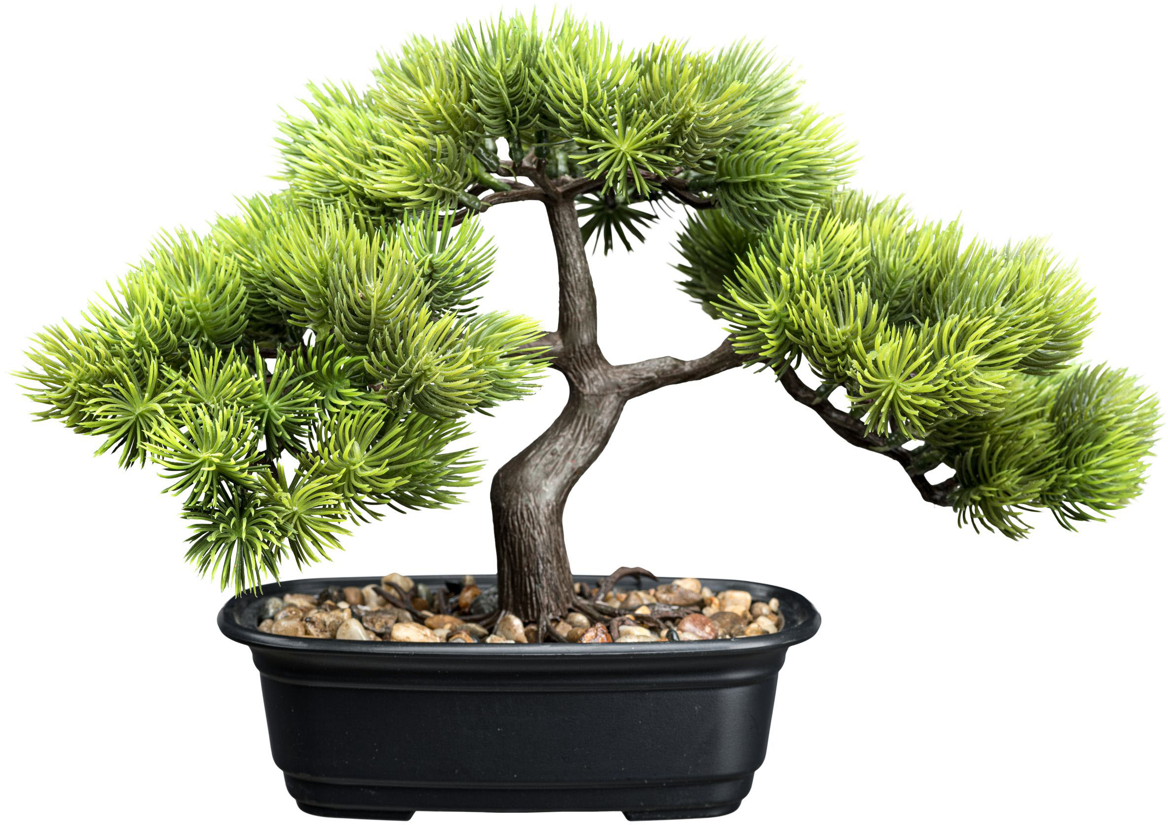 Creativ green Kunstbonsai "Bonsai Kiefer", mit Deko-Kies günstig online kaufen