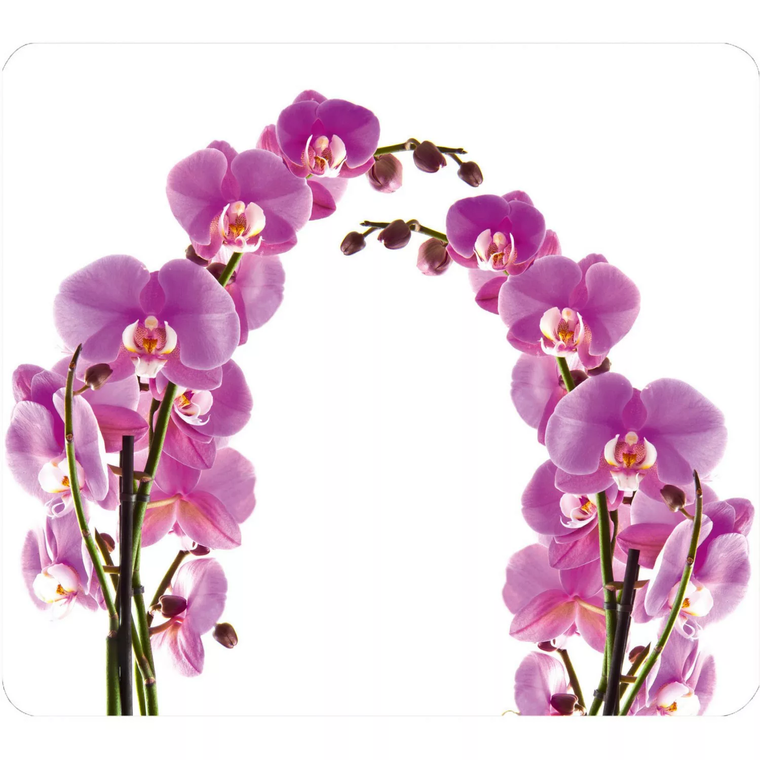 Wenko Multi-Platte Orchideenblüte für Glaskeramik Kochfelder Mehrfarbig günstig online kaufen