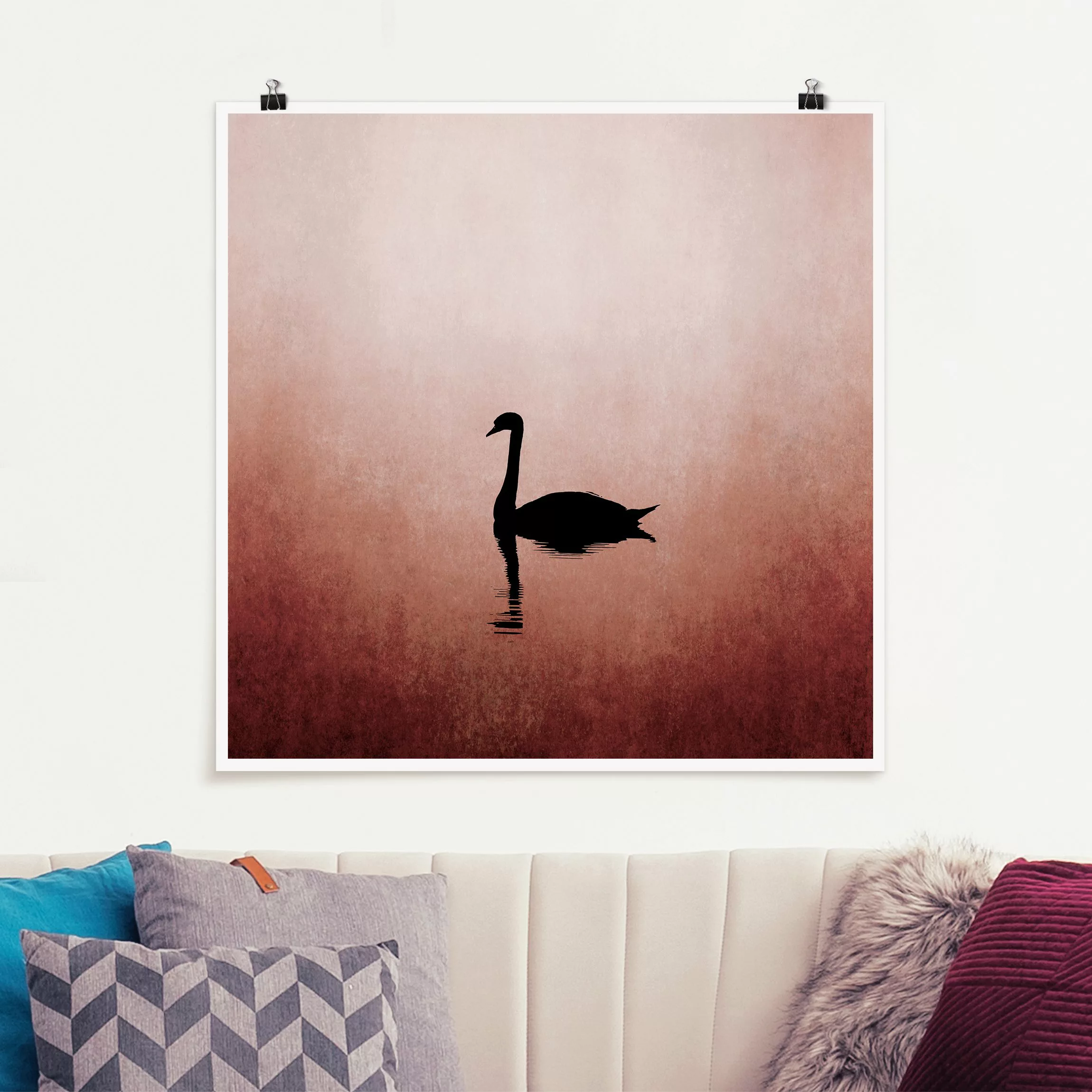 Poster Schwan im Sonnenuntergang günstig online kaufen