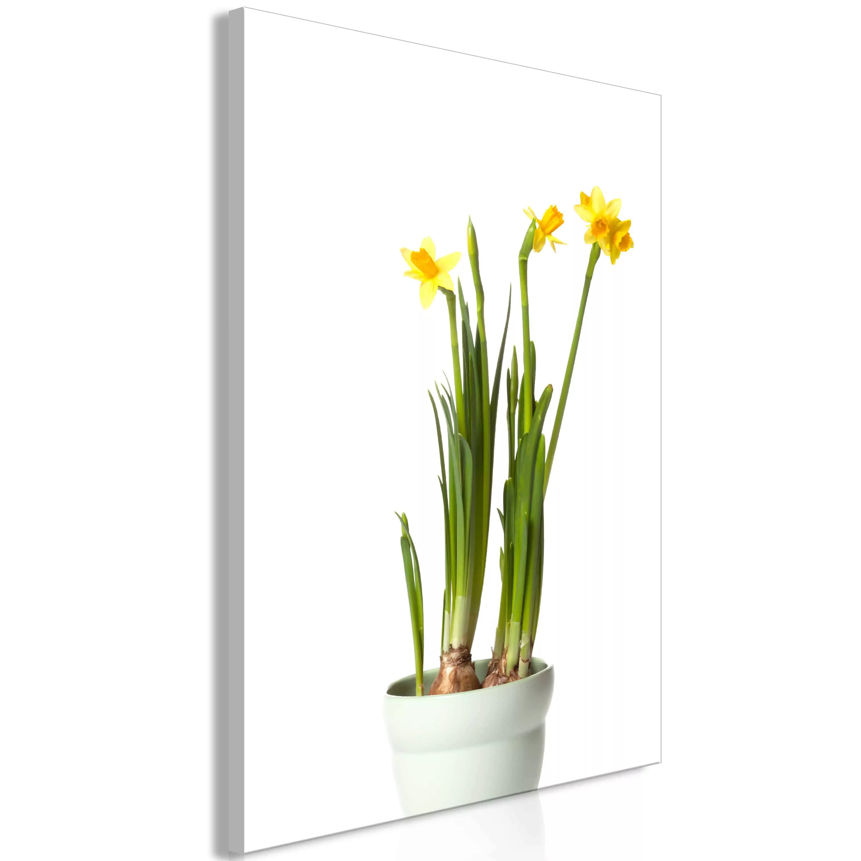 Wandbild - Narcissus (1 Part) Vertical günstig online kaufen