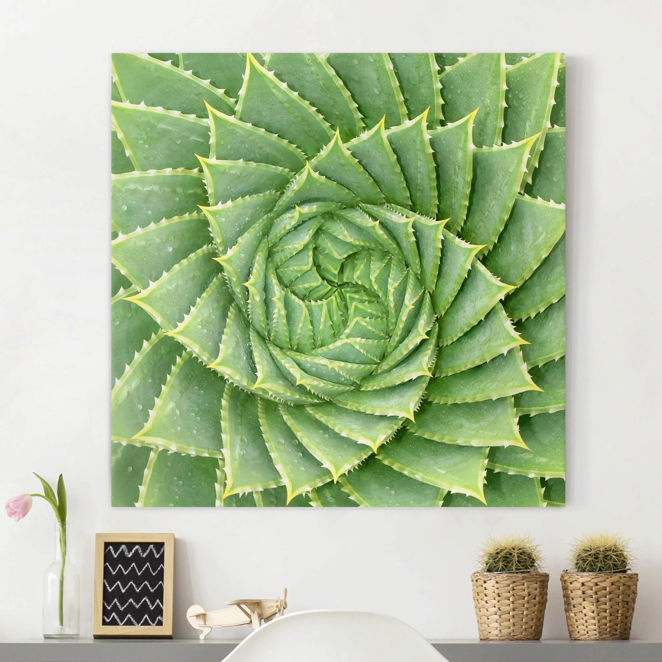 Leinwandbild Botanik - Quadrat Spiral Aloe günstig online kaufen