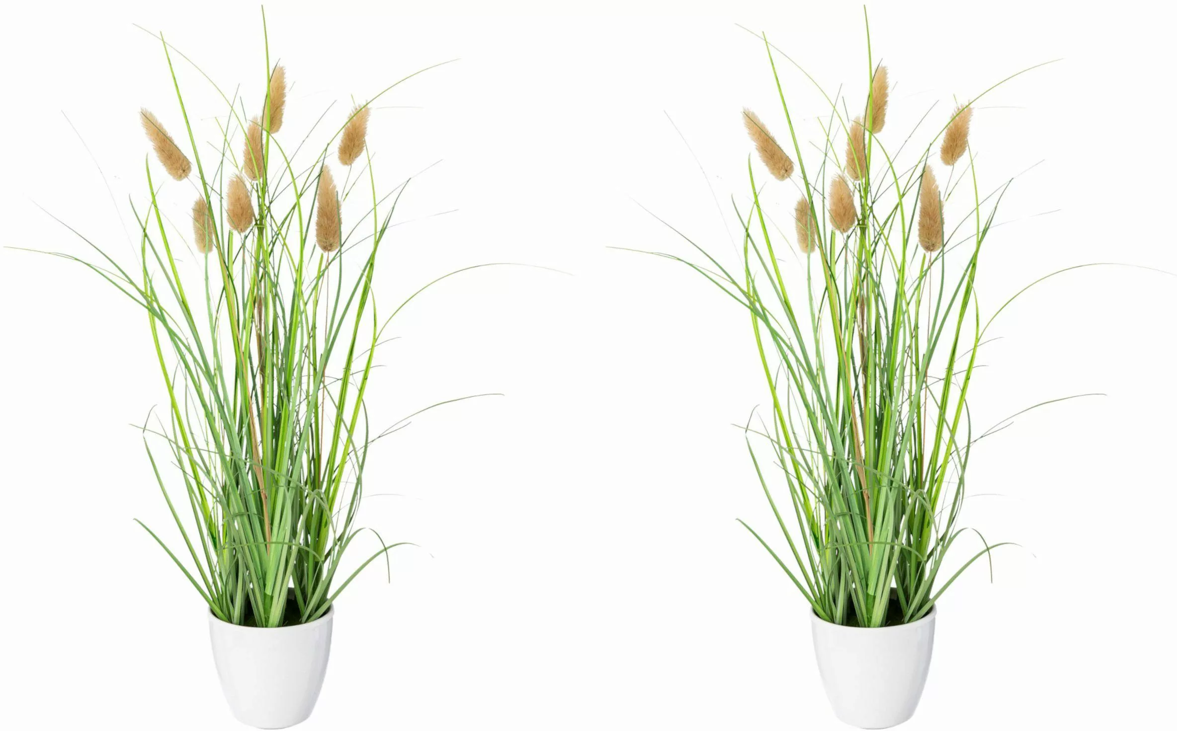 Kunstgras Grasbusch Lagurus Gras, Creativ green, günstig online kaufen